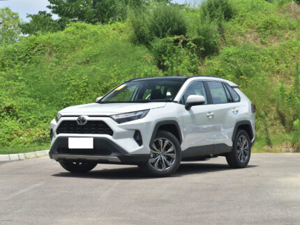 RAV4 2023 CHINA GASOLINE 2.0L 2WD FASHION PLUS