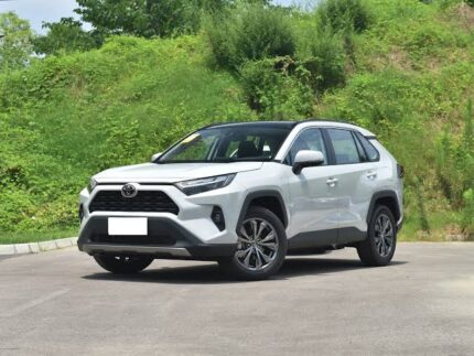 RAV4 2025 CHINA GASOLINE 2.0L 2WD FASHION PLUS