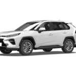 WILDLANDER 2023 CHINA GASOLINE 2.0 4WD DELUXE PLUS