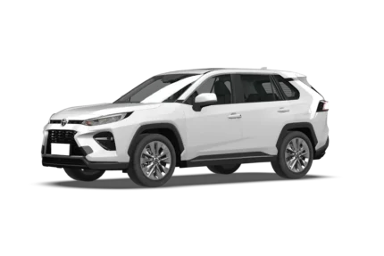 WILDLANDER 2023 CHINA GASOLINE 2.0 2WD DELUXE PLUS