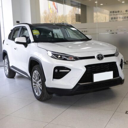 WILDLANDER 2025 CHINA GASOLINE 2.0 4WD DELUXE PLUS