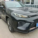 WILDLANDER 2025 CHINA GASOLINE 2.0 2WD DELUXE PLUS