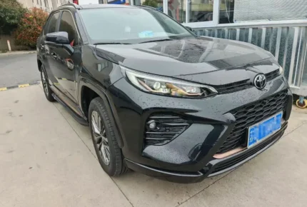 WILDLANDER 2025 CHINA GASOLINE 2.0 2WD DELUXE PLUS