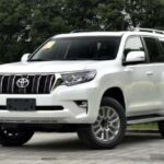 PRADO 2023 CHINA GASOLINE 2.4T CROSS-COUNTRY BX EDITION 5 SEATS