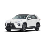 WILDLANDER 2025 CHINA HYBRID 2.5 2WD CITY