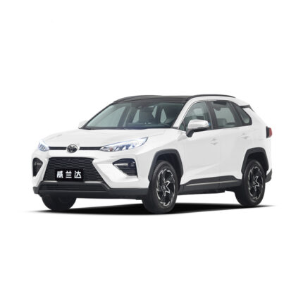 WILDLANDER 2025 CHINA HYBRID 2.5 2WD CITY