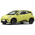DOLPHIN 2025 CHINA ELECTRIC INTELLIGENT DRIVING EDITION 420KM FREEDOM