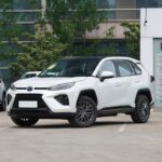 WILDLANDER 2025 CHINA GASOLINE 2.0 2WD CITY
