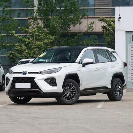 WILDLANDER 2025 CHINA GASOLINE 2.0 2WD CITY
