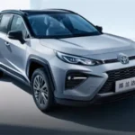 WILDLANDER 2025 CHINA GASOLINE 2.0 2WD LEADING
