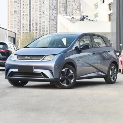 CHINA 2025 ELECTRIC SMART DRIVING EDITION 305KM FLYING