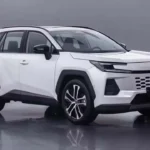 WILDLANDER 2026 CHINA GASOLINE 2.0 2WD CITY