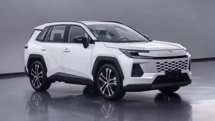 WILDLANDER 2026 CHINA GASOLINE 2.0 2WD DELUXE PLUS
