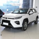 WILDLANDER 2023 CHINA GASOLINE 2.0 2WD LEADING
