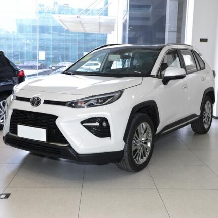 WILDLANDER 2023 CHINA GASOLINE 2.0 2WD LEADING