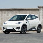 SEAGULL o DOLPHIN MINI 2025 CHINA ELECTRIC SMART DRIVING EDITION 405KM FLYING FULL