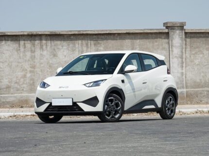 SEAGULL o DOLPHIN MINI 2025 CHINA ELECTRIC SMART DRIVING EDITION 405KM FLYING FULL