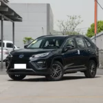 WILDLANDER 2025 CHINA HYBRID 2.5 2WD DELUXE PLUS