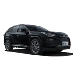 WILDLANDER 2023 CHINA GASOLINE 2.0 2WD CITY