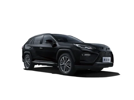 WILDLANDER 2026 CHINA GASOLINE 2.0 2WD LEADING