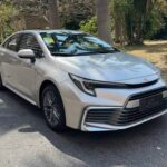 LEVIN 2025 CHINA GASOLINE 1.5L PROGRESS